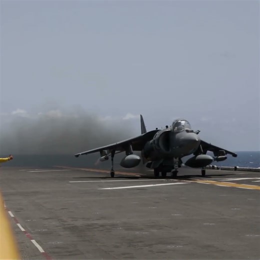 AV-8B Harrier #shorts