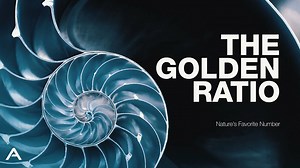 The golden ratio and patterns found in nature