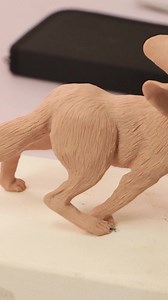 Freya’s getting a makeover!  力 Remember our big-eared fennec fox...