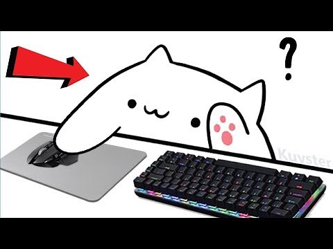 How to download and setup Bongo Cat Cam V2! (OBS)