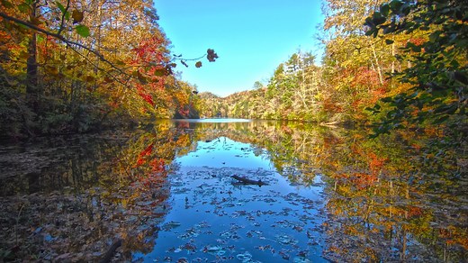 Pay your water bill - The City of Asheville