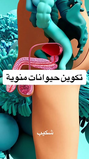 chakibbenali2 on TikTok