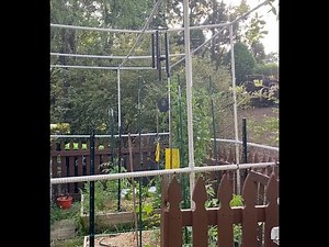 DIY PVC Garden Enclosure with Bird Netting: Protect Your Plants in Style!