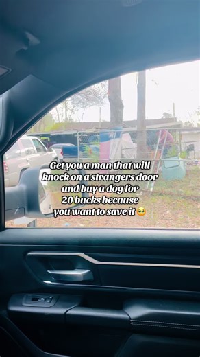 This sweet boy deserves so much more than life has given him 😢 #dog #rescue