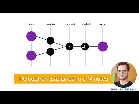 Perceptron Explained in 2 Minutes