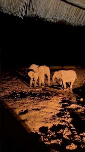 Forget Etosha National Park and Go There!