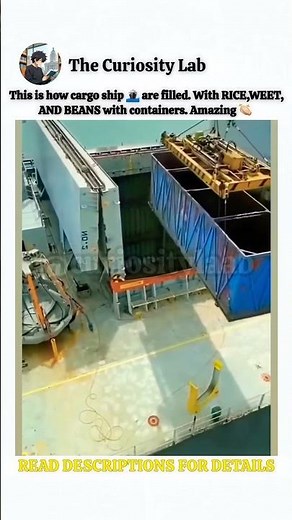 This is how cargo ship 🚢 are filled #shorts #cargo #ship