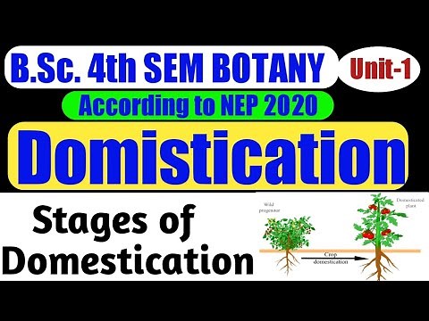 BSc 2nd Year 4th Semester Botany Unit 1/Domestication/Domestication in Hindi/Stages of Domestication