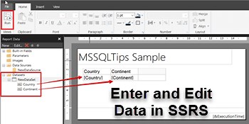 Enter and Edit Data in SSRS