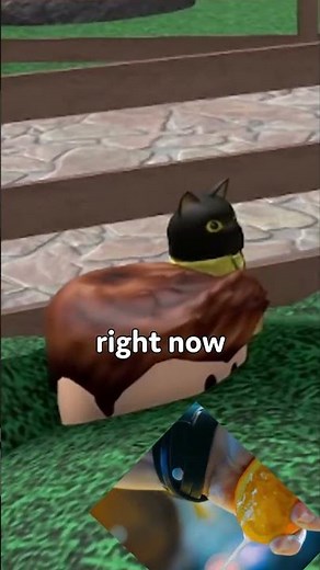 Jake shares a Secret with Denis 🤐 #roblox