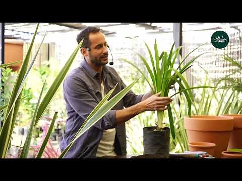 Curso de Jardinería Básica ~ Módulo 1 ~ Luciano Cetro, Paisajista. LA TRIBU VERDE