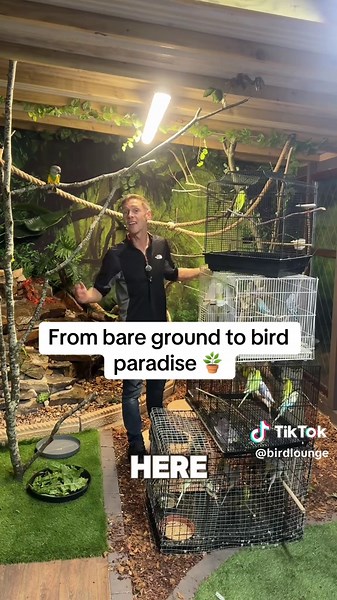 Complete Your Aviary Build for Budgies and Finches