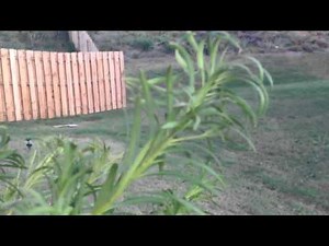 iPhone 4S 1080p Video Test