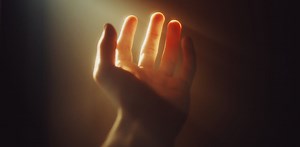 We can still see these 5 traces of ancestor species in all human bodies today