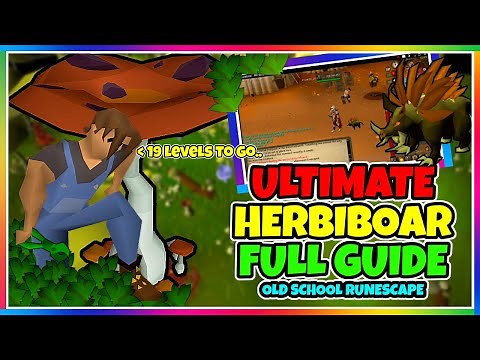 OSRS - How To Catch Herbiboar When Training Hunter - ( FULL GUIDE )