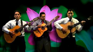 51K views · 1.7K reactions | Luto en el Alma - Cover Pasillo (D.R.A) Interprete y Guitarra: Luis Rios (El Rockolero) Requinto: Julio Medina 2da Guitarra: Luis Medina Suscribete al canal para mas pasillos  ▶https://goo.gl/ByLFFJ Escuchalo en YouTube: ▶https://www.youtube.com/watch?v=dFMxhAOAMag | Luis Armando El Rockolero | Facebook