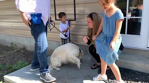9.3K views · 209 reactions | It’s pretty amazing when a service dog can track your child by scent...great job Dove! | Little Angels Service Dogs | Facebook