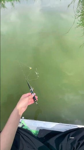 Unbelievable Fishing Video in Rural Area Catch Fish in River #fishing #shortvideo
