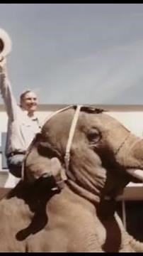 A brief history of Cal Worthington (and his dog, Spot!)