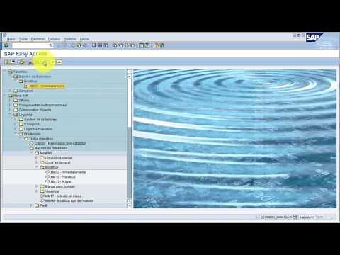 5. SAP BASIC COURSE - SAP Navigation Demo