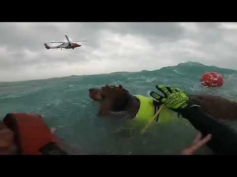 Coast Guard rescues man and dog during Hurricane Helene