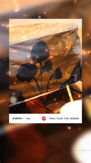 Xiaomi 17 Ultra Telephoto Camera Sample Review