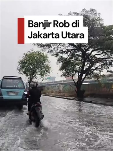 Banjir rob merendam kawasan Jalan RE Martadinata, Jakarta Utara, tepatnya di depan Jakarta International Stadium (JIS), pada Kamis pagi (4/12) sekitar pukul 09.30 WIB. Air pasang laut yang meluap ke area pelabuhan mengalir hingga ke jalan raya, membuat ruas tersebut tak bisa dilintasi dengan aman. Ketinggian air yang mencapai 40 sentimeter membuat sejumlah sepeda motor mogok dan menyebabkan kemacetan panjang. Petugas SDA Jakarta Utara dikerahkan ke lokasi dengan dua unit pompa mobile dan satu po