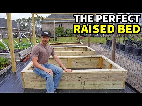 How To Build The PERFECT Raised Garden Bed!
