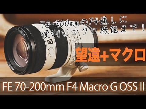 【SEL70200G2】望遠+マクロという便利すぎるズームレンズ「FE 70-200mm F4 Macro G OSS II 」を解説！