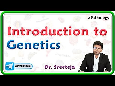 1: Introduction to Genetics | Pathology USMLE Step 1