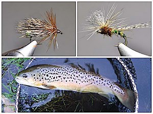 Grannom Fly: How to tie 2 of the best caddis patterns