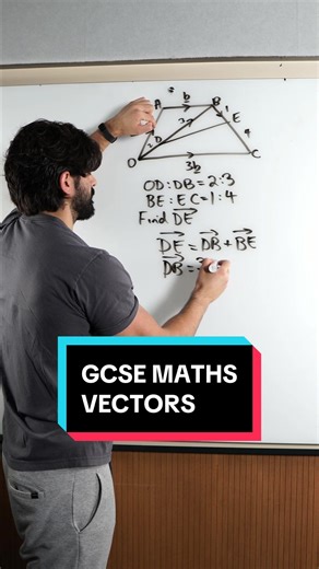 GCSE Maths Vectors Practice Questions