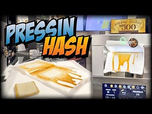 44g Bubble Hash Extraction