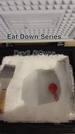 Eat Down Series🥶 I Love Freeze Frost😋 #freezerstash #refrozenpowderyice #icetok #iceeater