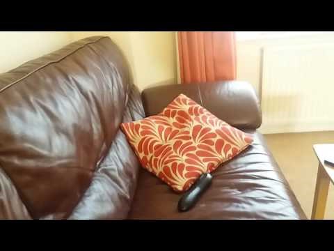 Mario watches the THX logo