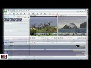 VideoPad Video Editing Software | Interface Tutorial