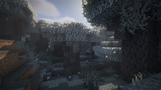 How to find any biome in Minecraft