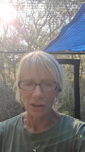 The bushland and wildlife on the Central Coast need us to speak up - numbers really matter here. The Draft Central Coast Strategic CONservation Plan (CCSCP) is on public exhibition until 5pm Tuesday 11 November, and it needs our urgent attention. I really want to make it easy for you to put a submission in opposing this plan (if that’s what you want) FOR THOSE IN A HURRY - Go to this link - see also in comments https://www.planningportal.nsw.gov.au/draftplans/exhibition/have-your-say-draft-plan-