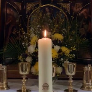 72K views · 2.6K reactions | A special Easter message from Her Majesty The Queen. “The discovery of the risen Christ on the first Easter Day gave his followers new hope and fresh purpose and we can all take heart from this. We know that coronvirus will not overcome us. ‪“As dark as death can be, particularly for those suffering with grief, light and life are greater.” : The Royal Family | The Church of England | Facebook