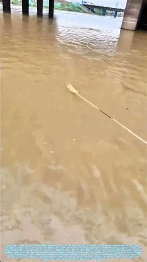 Netting the Current: A Cast That Feeds Generations