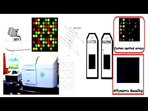 Principle and Types and Requirements of DNA Microarrays Technology