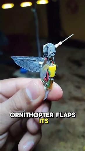 This Miniature RC Ornithopter Flies Like a Real Insect | Nature-Inspired Engineering in Motion