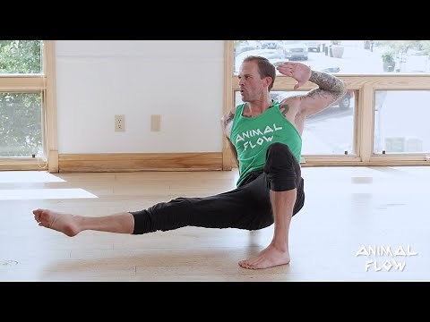 Animal Flow Beginner Class