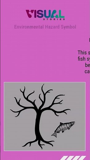 Safety Symbols and Meanings