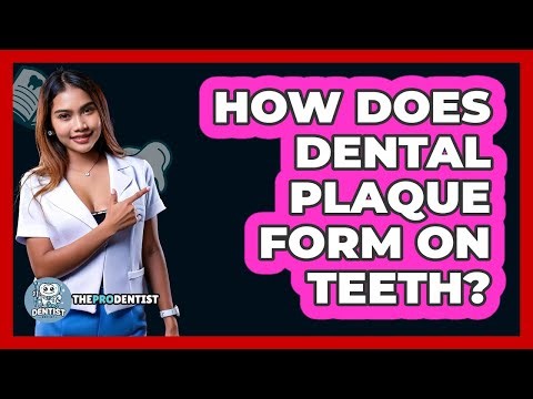 How Does Dental Plaque Form On Teeth? - The Pro Dentist