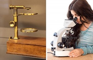Simple vs Compound Microscope: How They Work and How They Differ