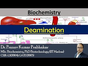 DEAMINATION : Mechanism ,Types , Examples and significance