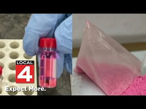 Local 4 News at 4 -- Nov. 14, 2024