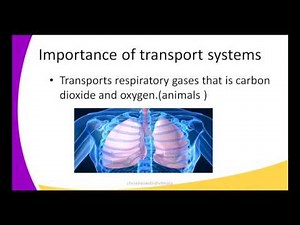 FORM2 Biology Lesson1 Introduction to transport system