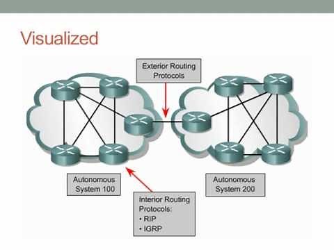Routing Protocol Basics